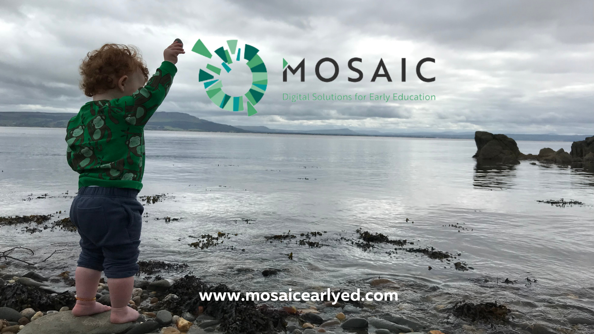 MOSAIC- The App for Professional Educators