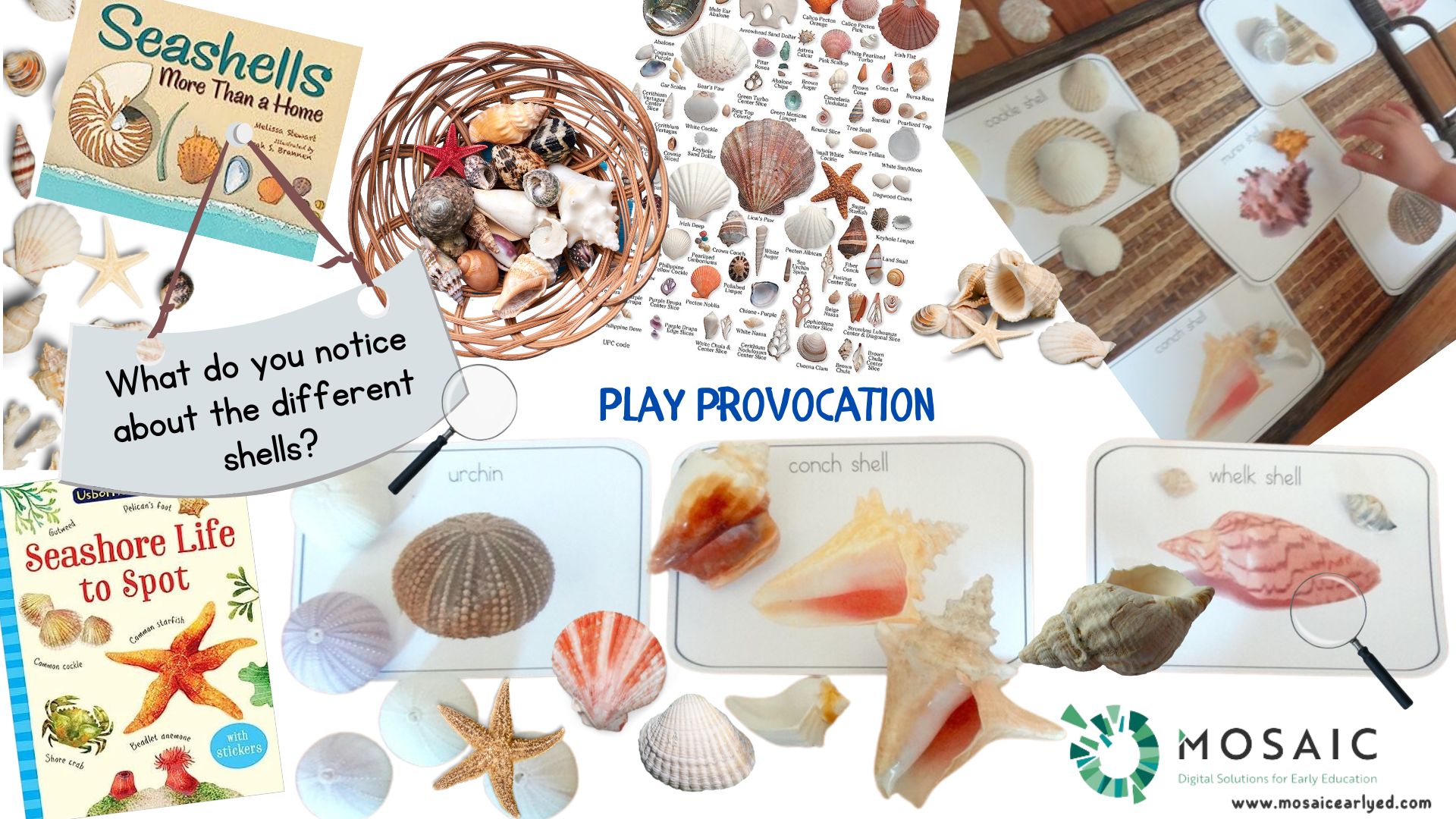 Invitations and Provocations – what’s the difference?